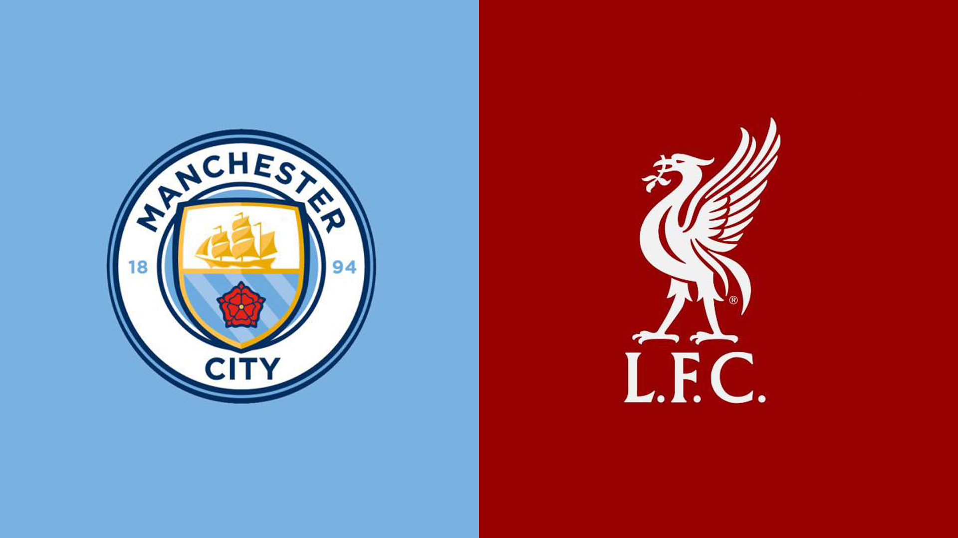 文章的整体 文章的整体