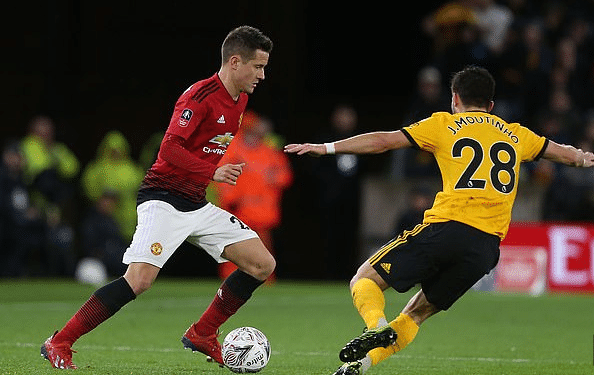 球迷的支持 球迷的支持